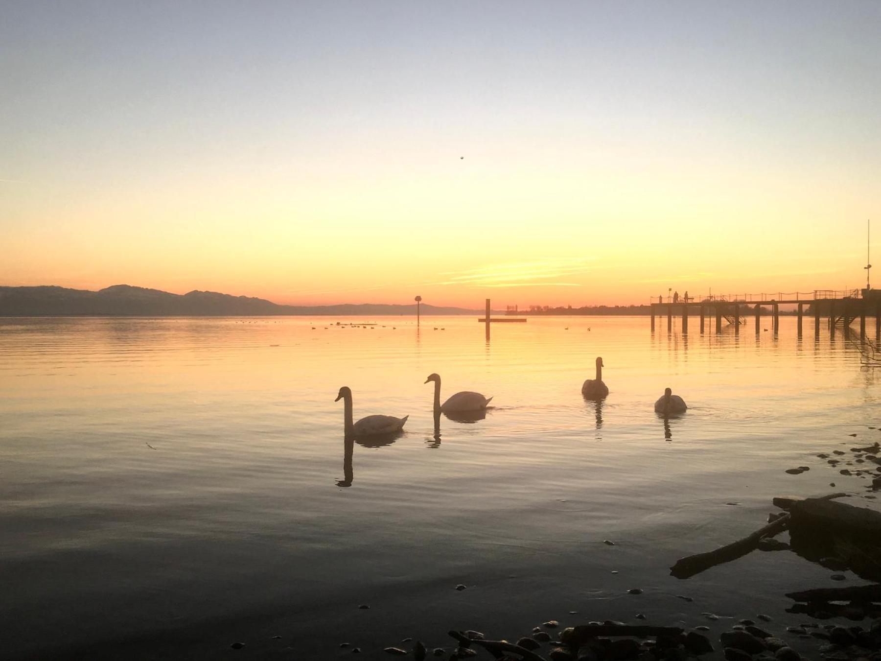 Ferienwohnung Insel-Ambiente Lindau  Zewnętrze zdjęcie